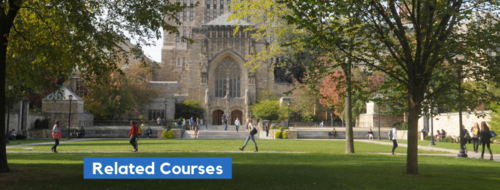 Fall 2018 Courses of Interest