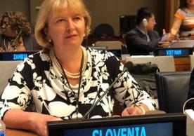 Ambassador Kuret, Permanent Mission of the Republic of Slovenia to the United Nations
